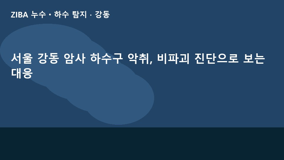서울 강동 암사 하수구 악취, 비파괴 진단으로 보는 대응