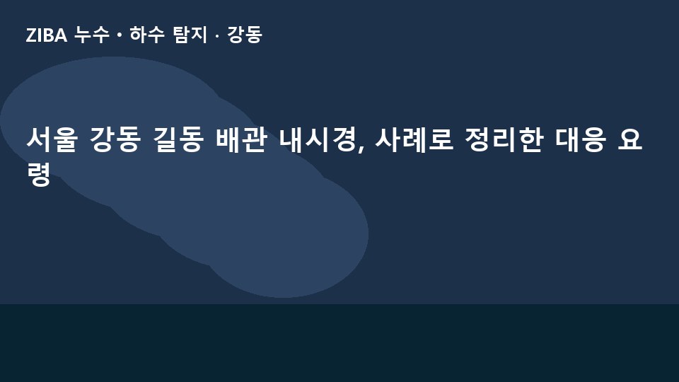 서울 강동 길동 배관 내시경, 사례로 정리한 대응 요령