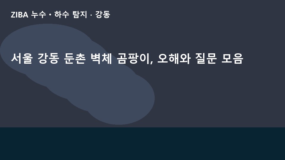 서울 강동 둔촌 벽체 곰팡이, 오해와 질문 모음
