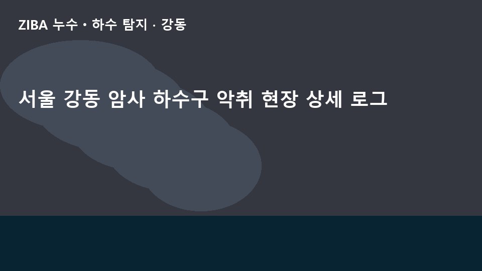 서울 강동 암사 하수구 악취 현장 상세 로그