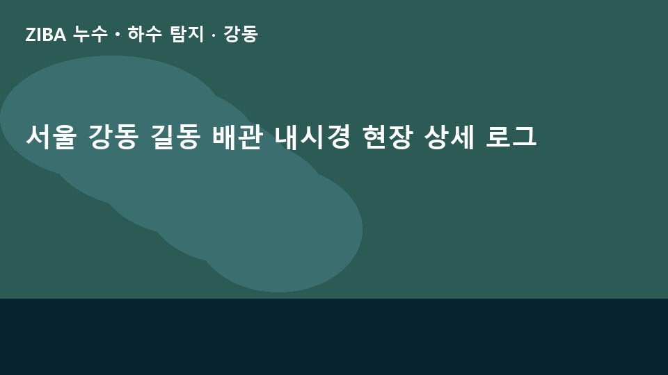 서울 강동 길동 배관 내시경 현장 상세 로그