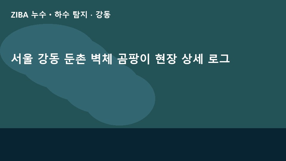 서울 강동 둔촌 벽체 곰팡이 현장 상세 로그